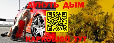 шишки Лесосибирск